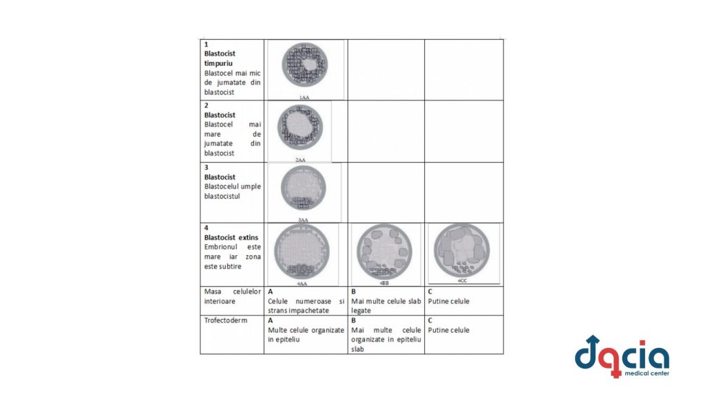 evaluarea blastocistului