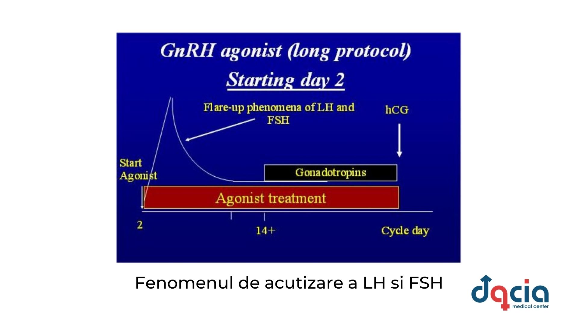 fenomenul de acutizare a LH si FSH