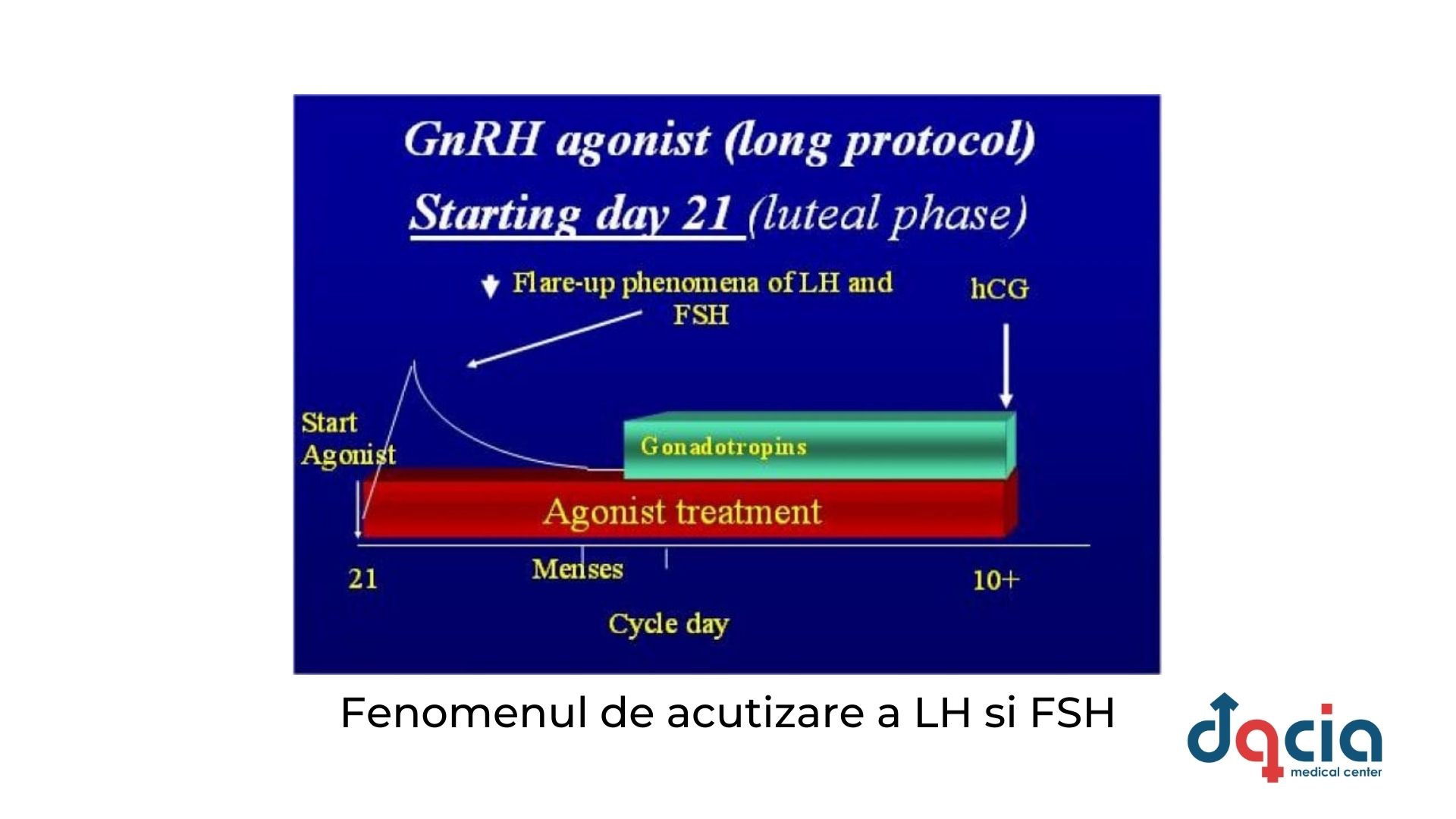 fenomenul de acutizare a LH si FSH